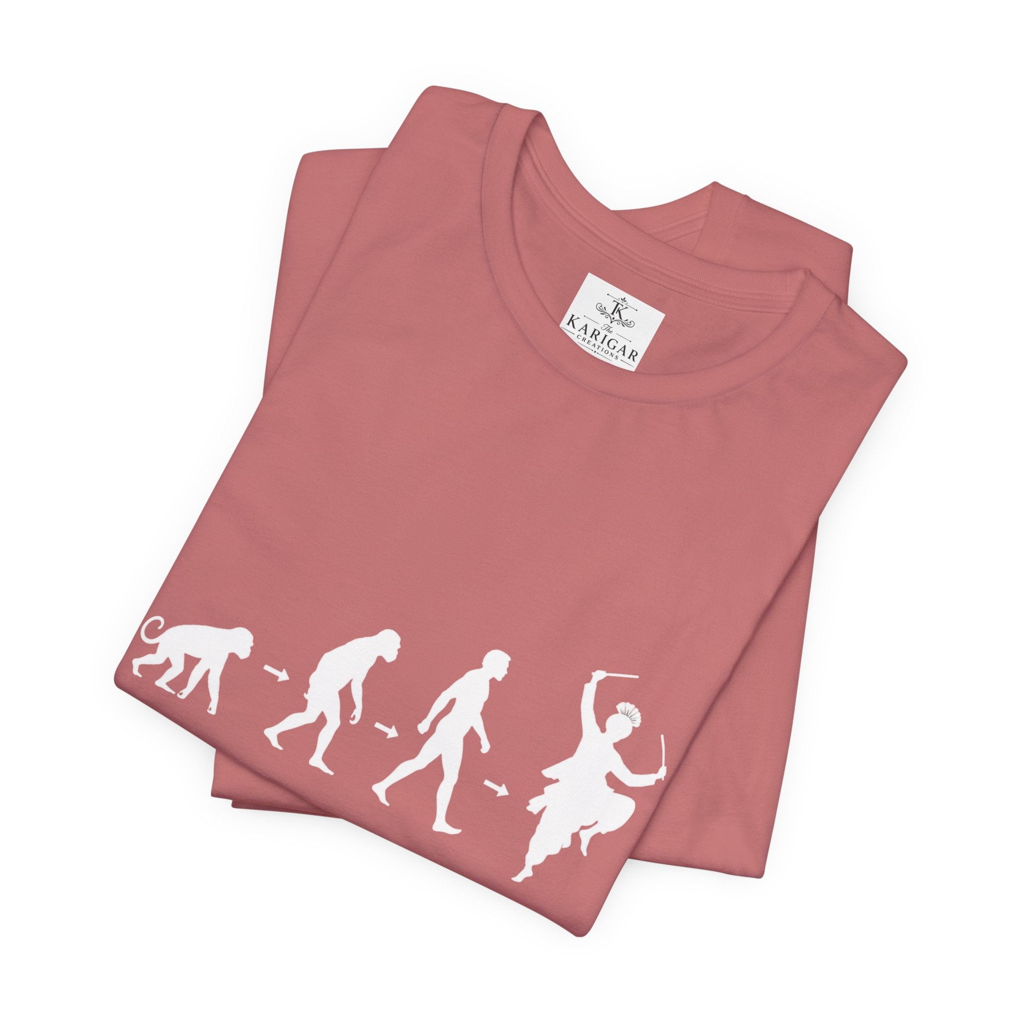 Bhangra Evolution T-Shirt Dance Evolution Tee Indian Folk Dance Shirt Punjabi Bhangra Graphic Unisex Cultural Gift