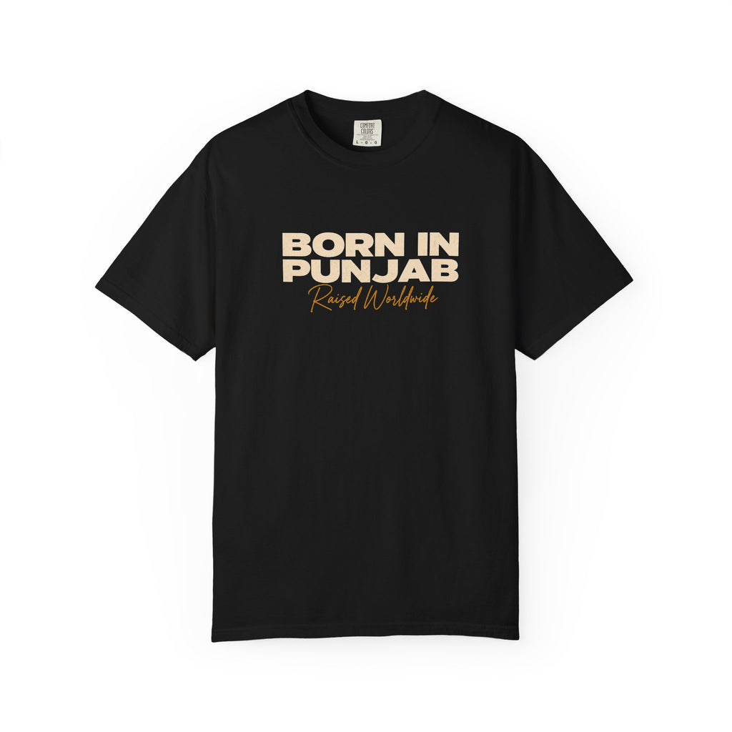 Born in Punjab — View 8 | The Karigar Creations