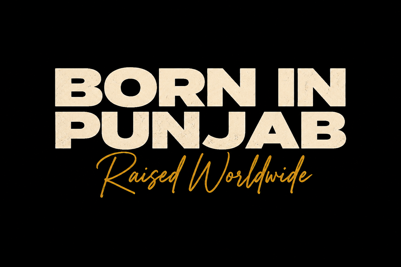 "Born in Punjab" Oversized T-Shirt