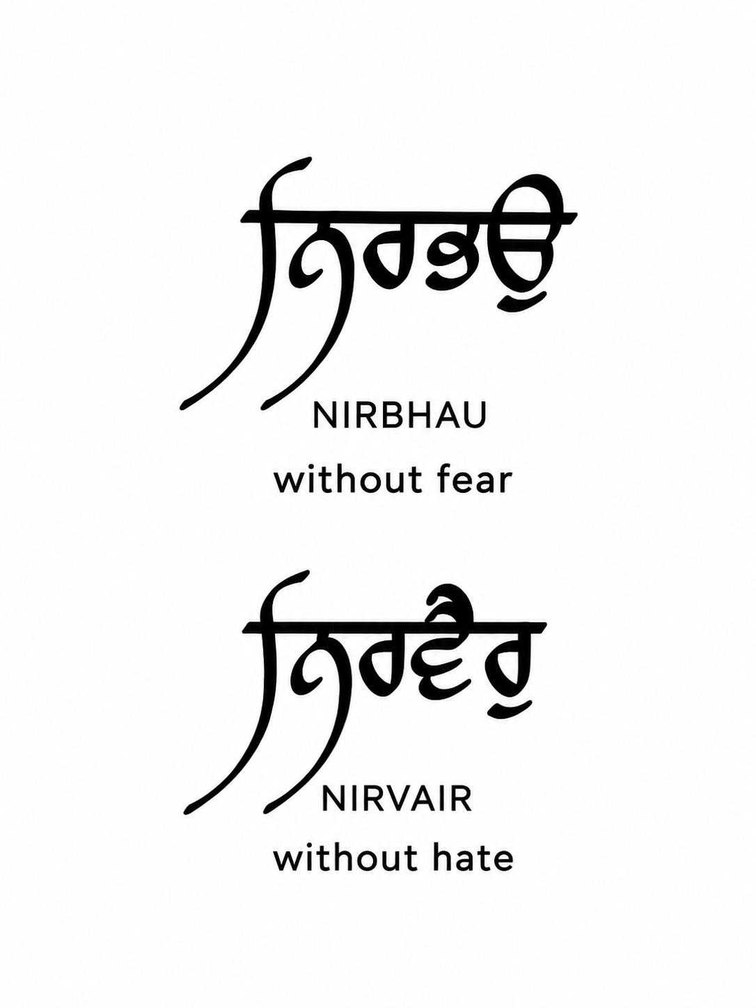 "Nirbhau Nirbhair" T-Shirt