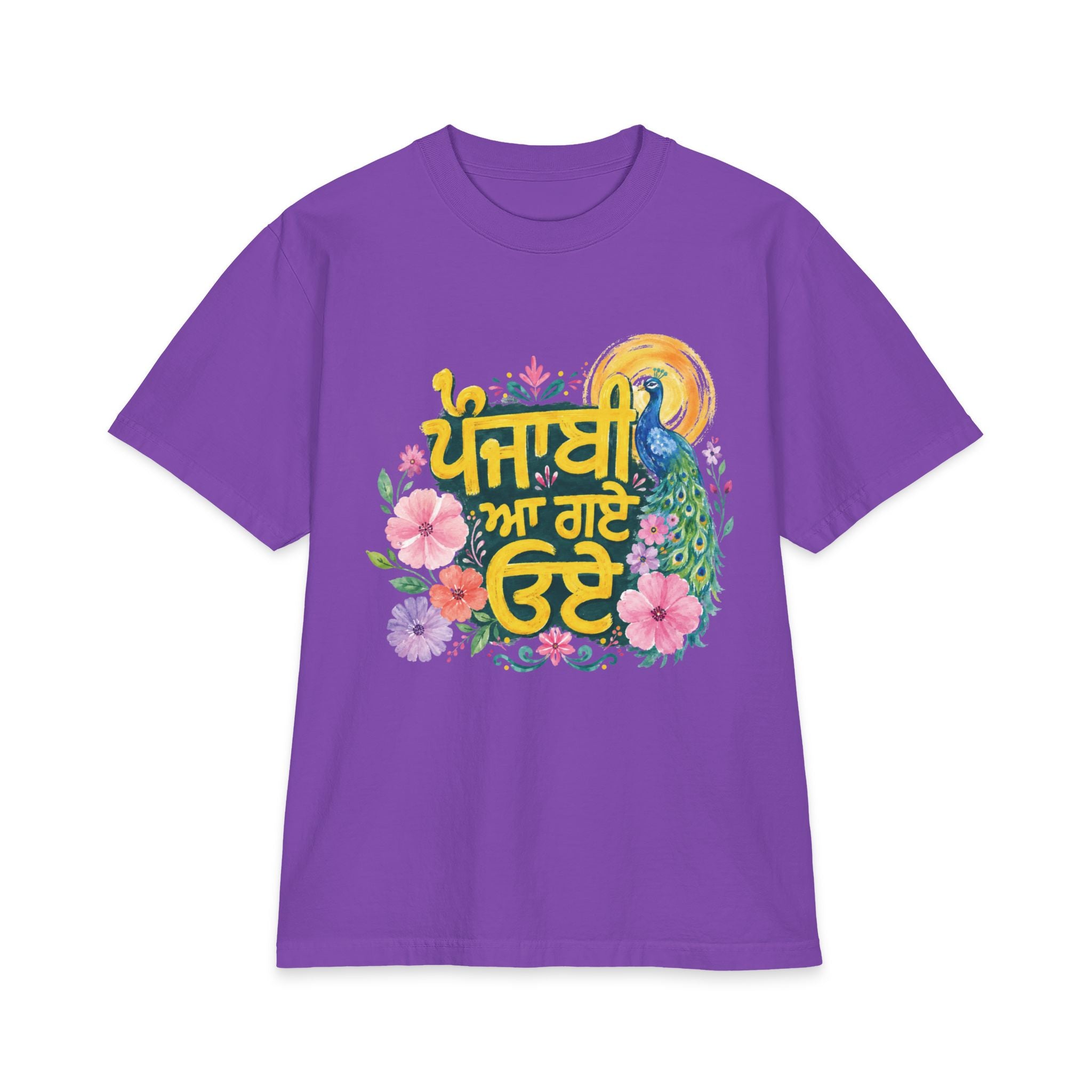 Punjabi Aa Gaye Oye Oversized/Relaxed T-Shirt