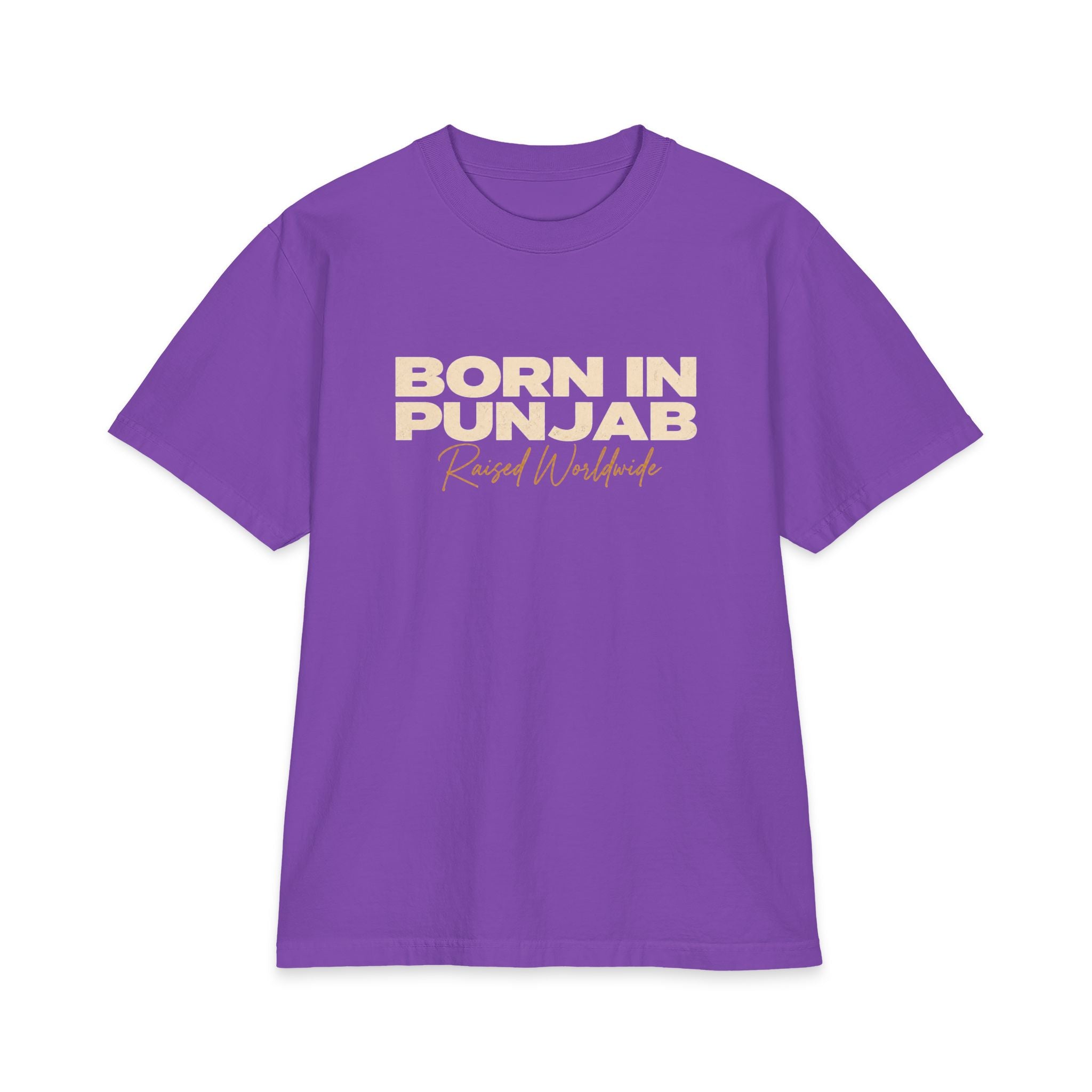 "Born in Punjab" Oversized T-Shirt